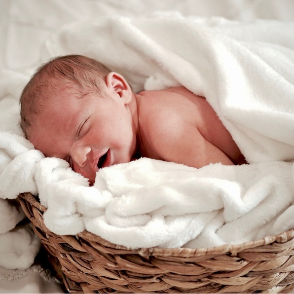 Meet your Posher, Raelee - Picture 6 of 16